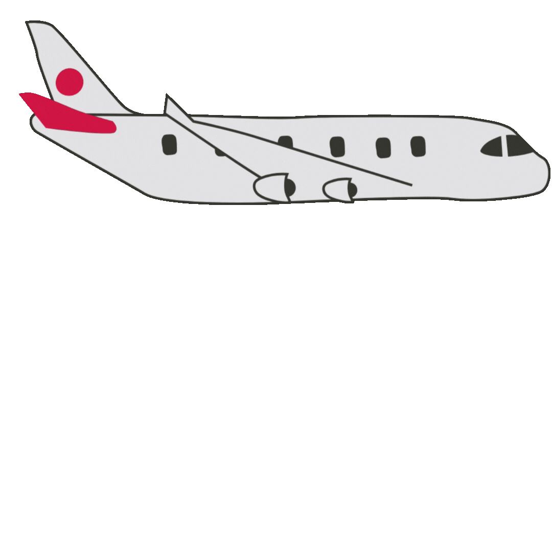 Flight
